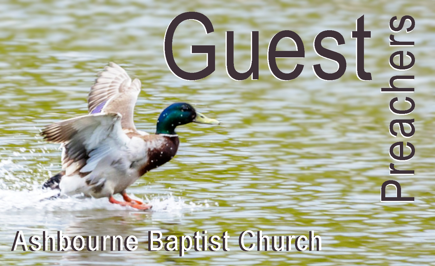 Guest Sermon Series Cover