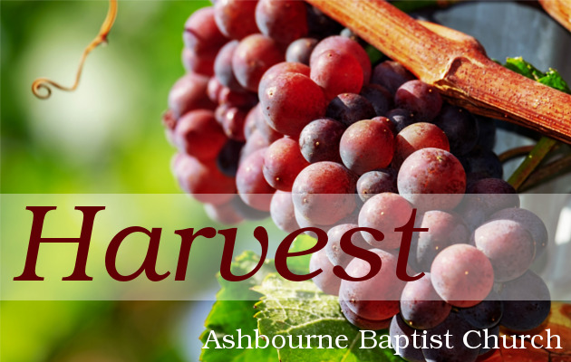 Harvest Sermon Series Cover