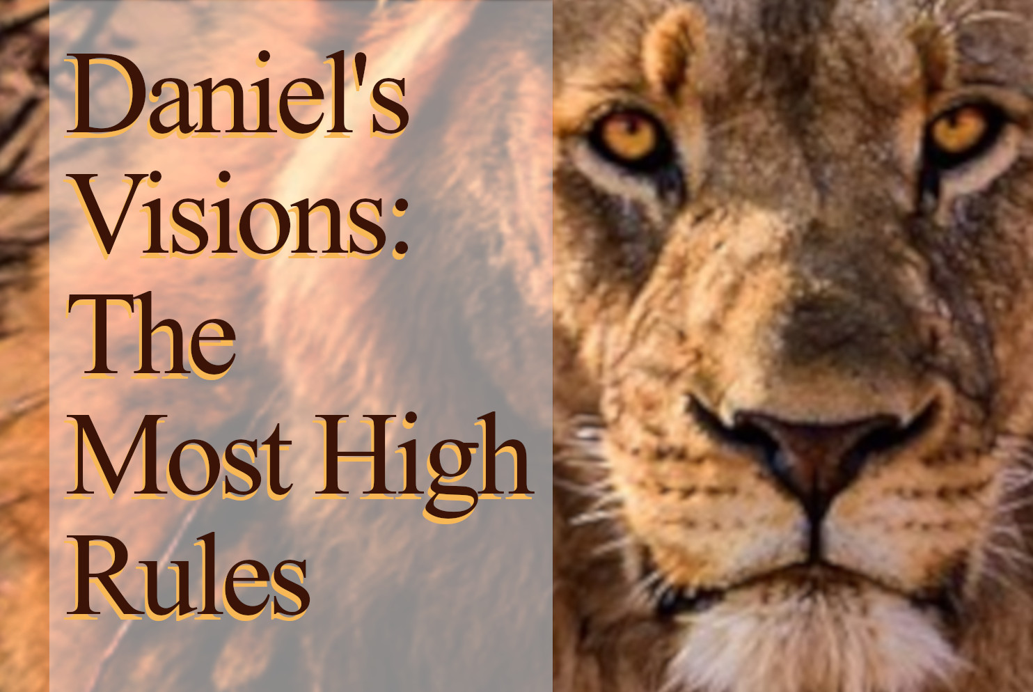 Daniel's Visions: The Most High Rules  series Cover picture